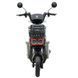 Велосипед з електромотором SPARK TOUR 14&raquo; 60V/500W/20Ah Сірий 000227067 фото 3